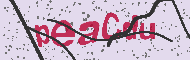 Captcha認証コード